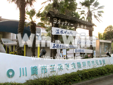 ヨネッティ-　王禅寺　の写真素材 W-013325