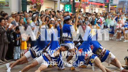 阿波踊りの写真素材 W-012102