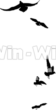 鳥たちのシルエット素材 W-013888