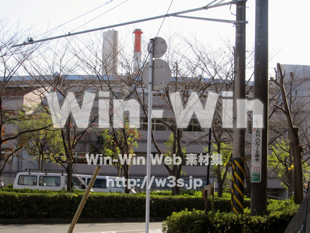 ヨネッティ-王禅寺の写真素材 W-013294