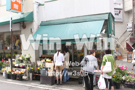 ノクティ界隈の写真素材 W-013576