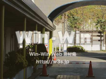 ヨネッティ-　王禅寺の写真素材 W-013324