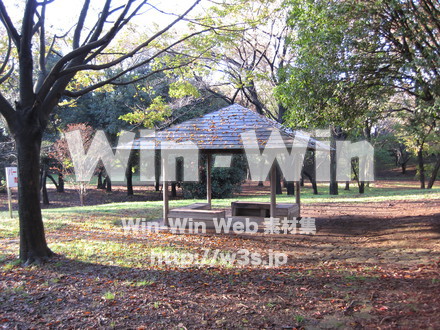 水沢の森の写真素材 W-012542