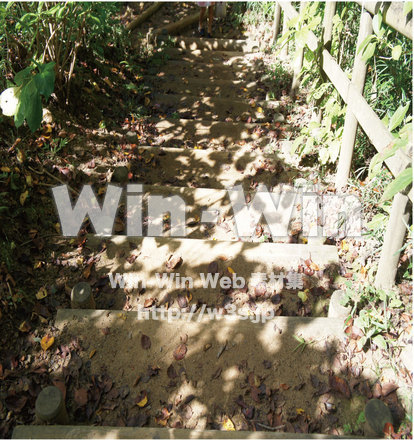 木漏れ日の階段の写真素材 W-013459