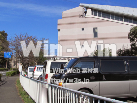 ヨネッティ-王禅寺の写真素材 W-013286