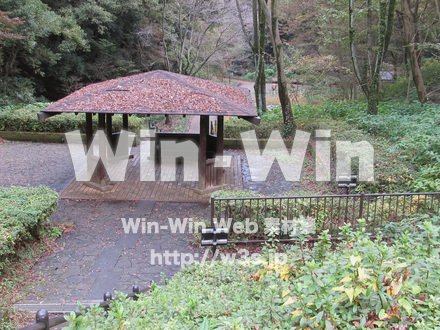 東高根森林公園。の写真素材 W-013027