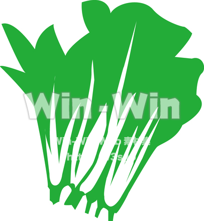 小松菜のシルエット素材 W-013144