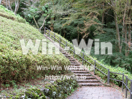 東高根森林公園。の写真素材 W-013028