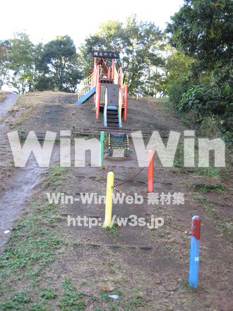 水沢の森の写真素材 W-012533