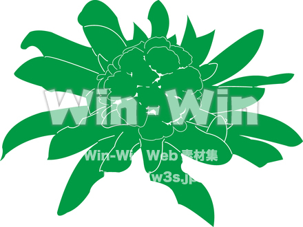 ふきのとうのシルエット素材 W-012113