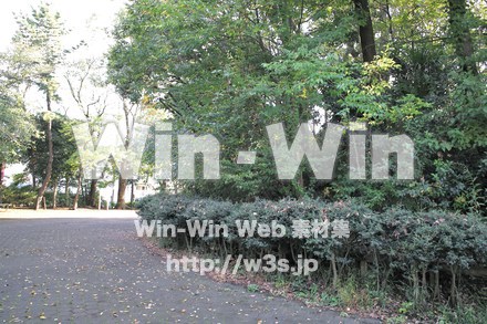 西福寺古墳の写真素材 W-013225