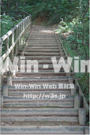 木の階段の写真素材 W-013458