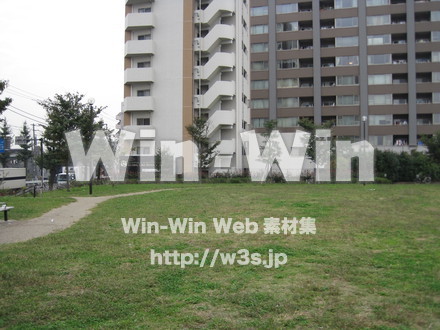 多摩川見晴らし公園の写真素材 W-012584