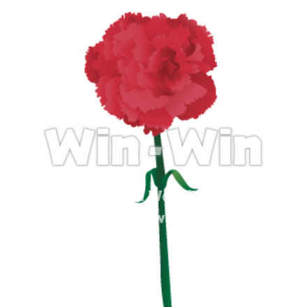 カーネーションのCG・イラスト素材 W-013434