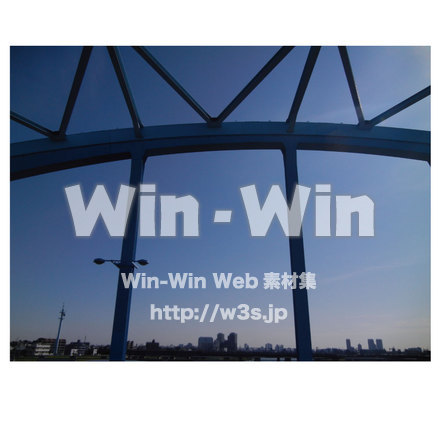 丸子橋　横から橋上の写真素材 W-013246