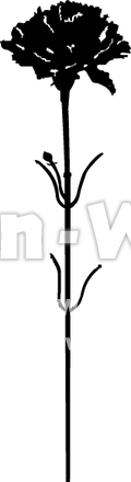 カーネーションのシルエット素材 W-013948