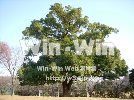 平和記念公園　46の写真素材 W-012762