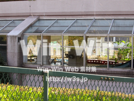 ヨネッティ-王禅寺の写真素材 W-013291