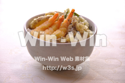 天丼の写真素材 W-013387