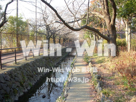 平和記念公園　21の写真素材 W-012737