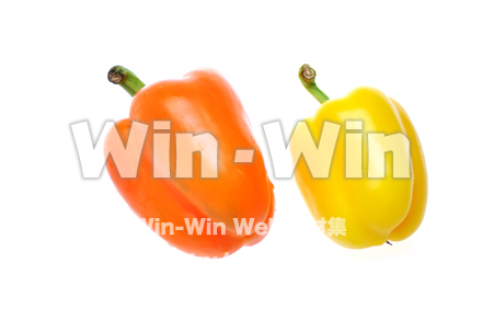 パプリカの写真素材 W-013681