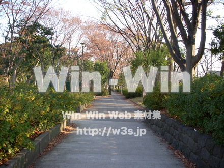 平和記念公園　32の写真素材 W-012748