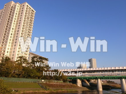 多摩川河原の写真素材 W-013549