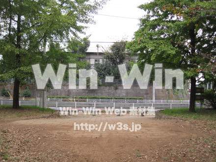 水沢の森の写真素材 W-012550