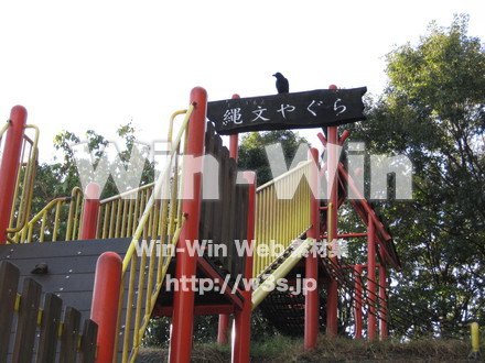 水沢の森の写真素材 W-012531