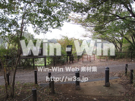 水沢の森の写真素材 W-012544