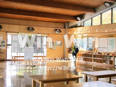 東高根森林公園の写真素材 W-013008