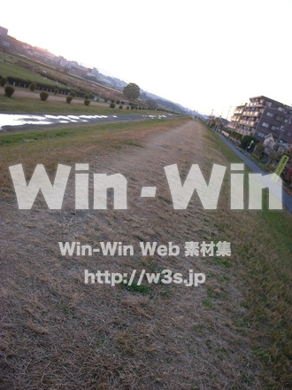 多摩川河原の写真素材 W-013561