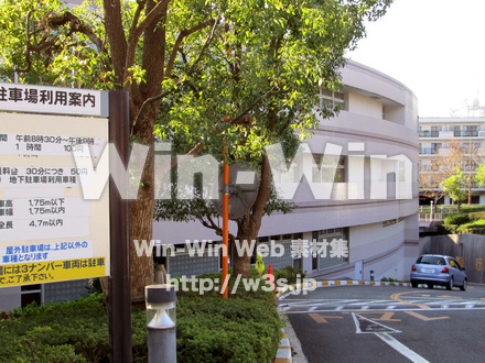 ヨネッティ-　王禅寺の写真素材 W-013320