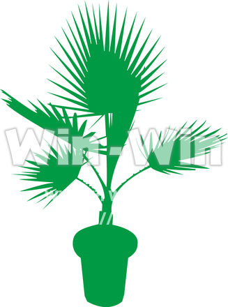 ヤシのシルエット素材 W-012114