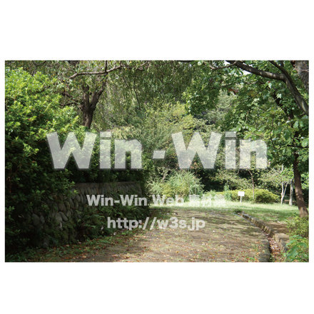 生田緑地　道２の写真素材 W-013283