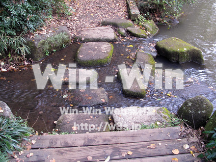 東高根森林公園の写真素材 W-013051