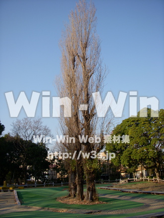 平和記念公園　25の写真素材 W-012741