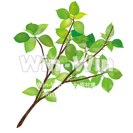 枝葉のCG・イラスト素材 W-013866