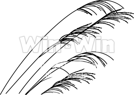 すすきのシルエット素材 W-013943