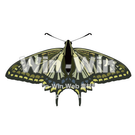 蝶々のCG・イラスト素材 W-013889