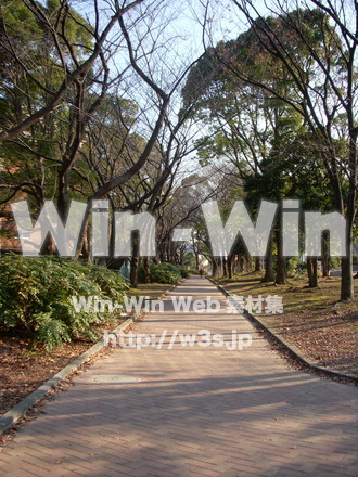 平和記念公園　55の写真素材 W-012771