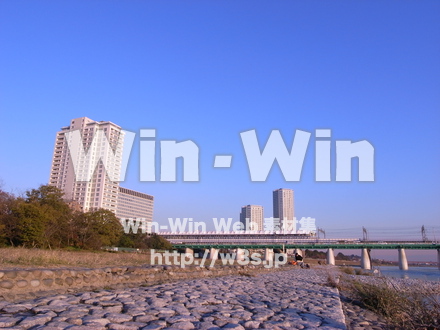 多摩川河原の写真素材 W-013542