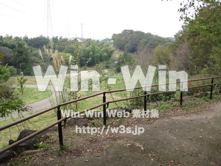 水沢の森の写真素材 W-012545