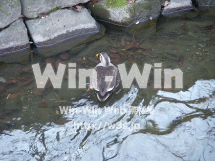 平和記念公園　19の写真素材 W-012735