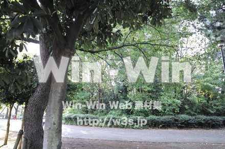 西福寺古墳の写真素材 W-013233