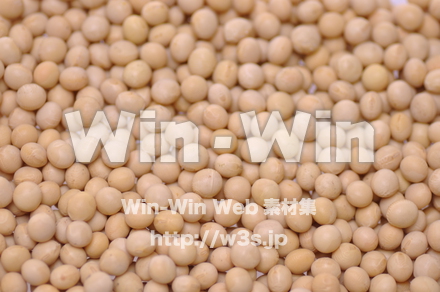 大豆の写真素材 W-013835