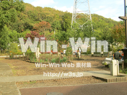 東高根森林公園。の写真素材 W-013012