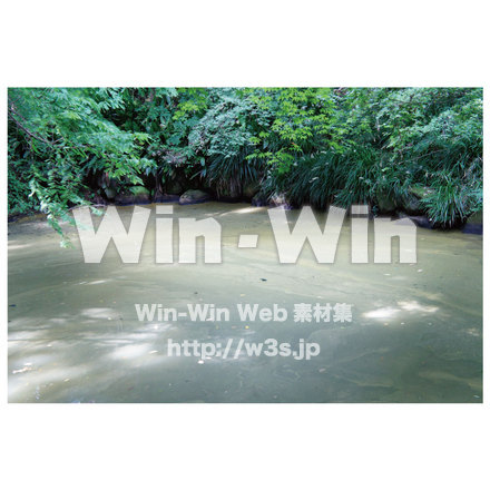 生田緑地　池３の写真素材 W-013280