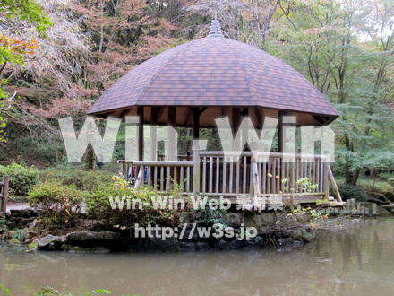 東高根森林公園の写真素材 W-013052