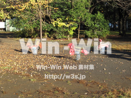 水沢の森の写真素材 W-012536